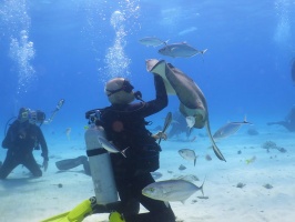 080 Steve at Stingray City IMG 6022